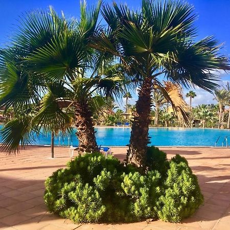 Fuerteventura Apartments Corralejo Eksteriør bilde