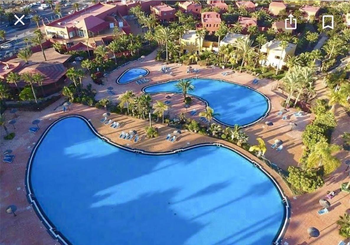 Fuerteventura Apartments Corralejo Eksteriør bilde