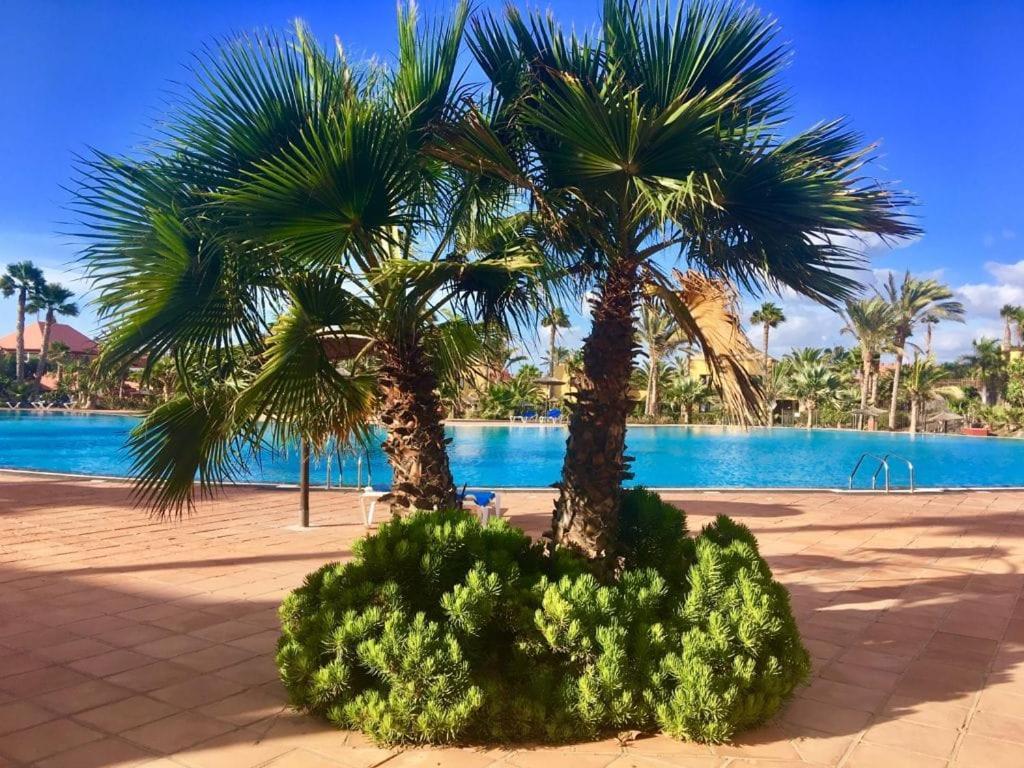 Fuerteventura Apartments Corralejo Eksteriør bilde
