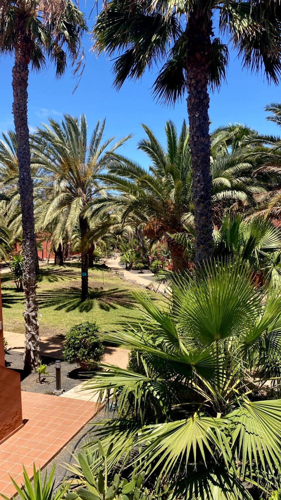 Fuerteventura Apartments Corralejo Eksteriør bilde